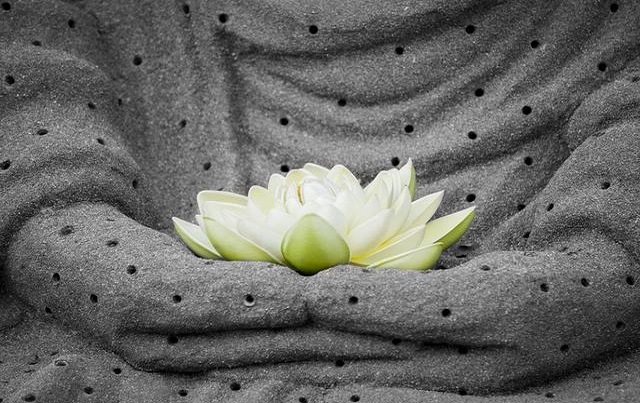 请认真自查自纠,请自查