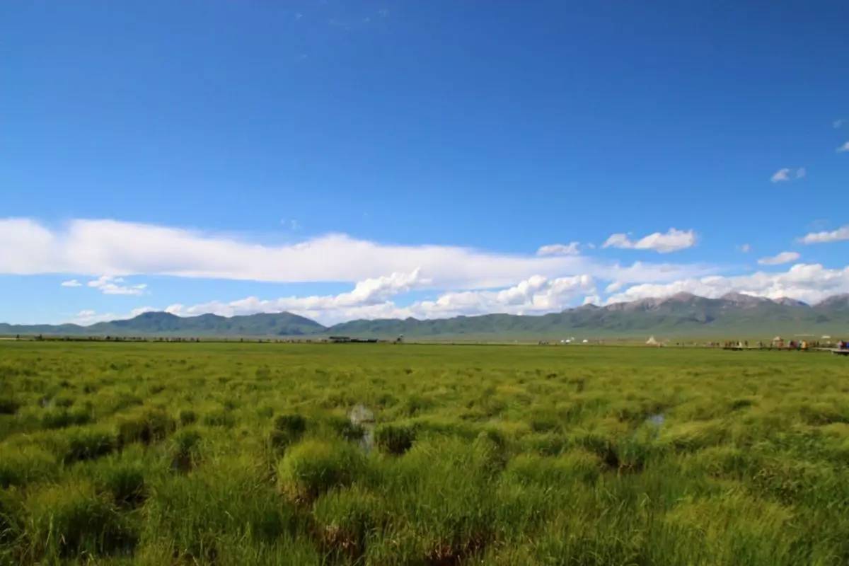 若尔盖湿地三月的景色,8月若尔盖草原哪里比较好