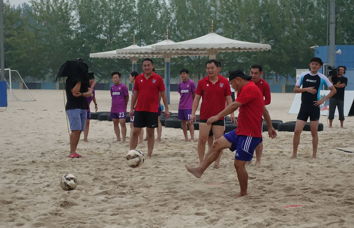 汪星人大战螃蟹,汪星人大战龙虾