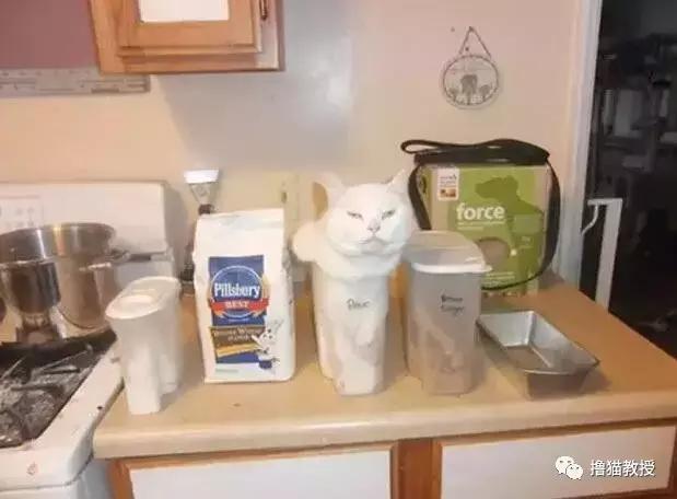 别跟我谈什么梦想我只想躺赢,别跟我谈什么梦想