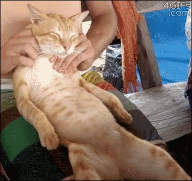 别跟我谈什么梦想我只想躺赢,别跟我谈什么梦想