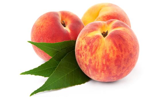 古代的水果都什么?香蕉榴莲有没有?