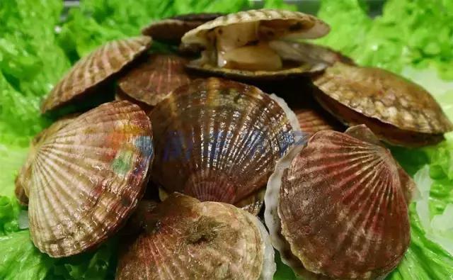 又到吃海鲜的季节咯！一位吕四渔民整理的海鲜大全，保证有你不认识的！