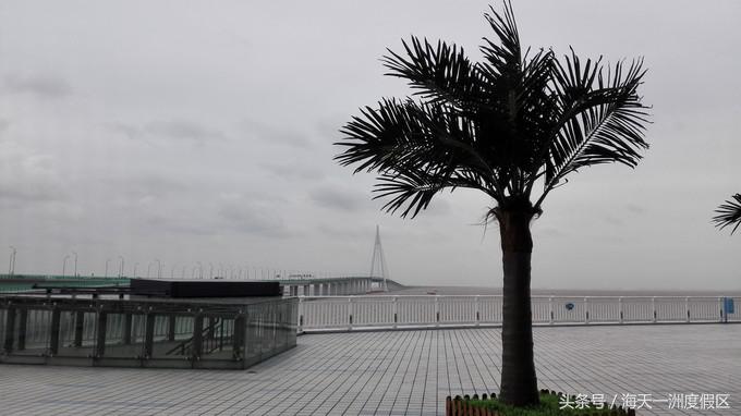 杭州自驾到舟山旅游攻略,杭州湾自驾游一日游