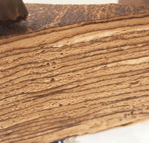 北京蛋糕店的爱马仕ladym,蛋糕界爱马仕上海