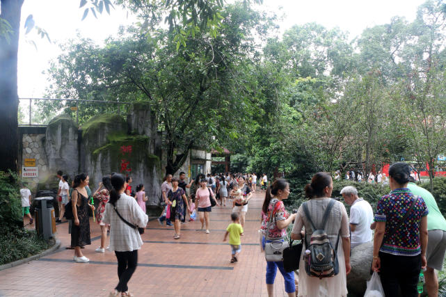 成都动物园看各种动物,成都动物园周末打卡景点