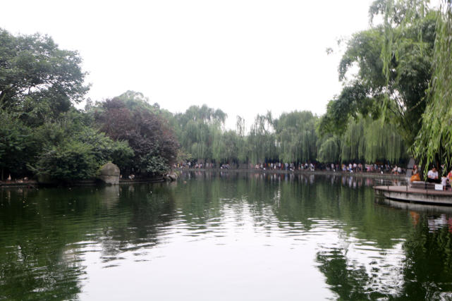 成都动物园看各种动物,成都动物园周末打卡景点