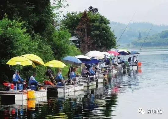 这个周末的足球比赛,这个周末有什么足球赛事