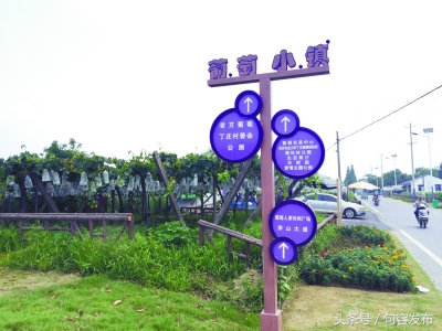 中国句容第十届丁庄葡萄节,中国江苏句容第十届丁庄葡萄节