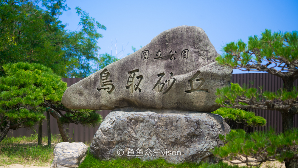 日本东京大阪最值得去的地方,日本大阪深度游攻略