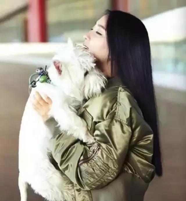 明星尬拍名场面,明星机场撞柱子尬舞