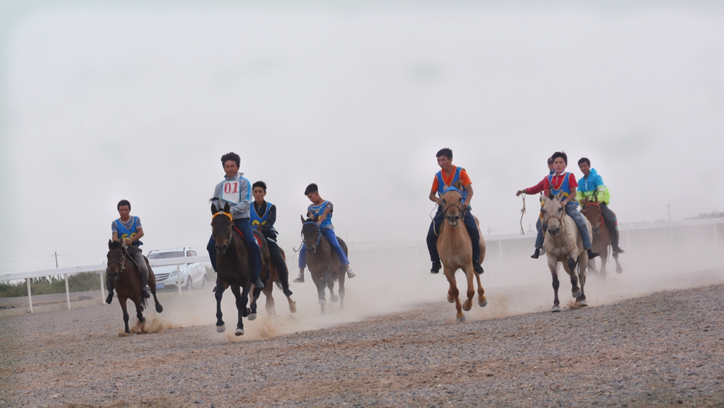 西安到阿拉善左旗自驾游攻略,西安到阿拉善三日游