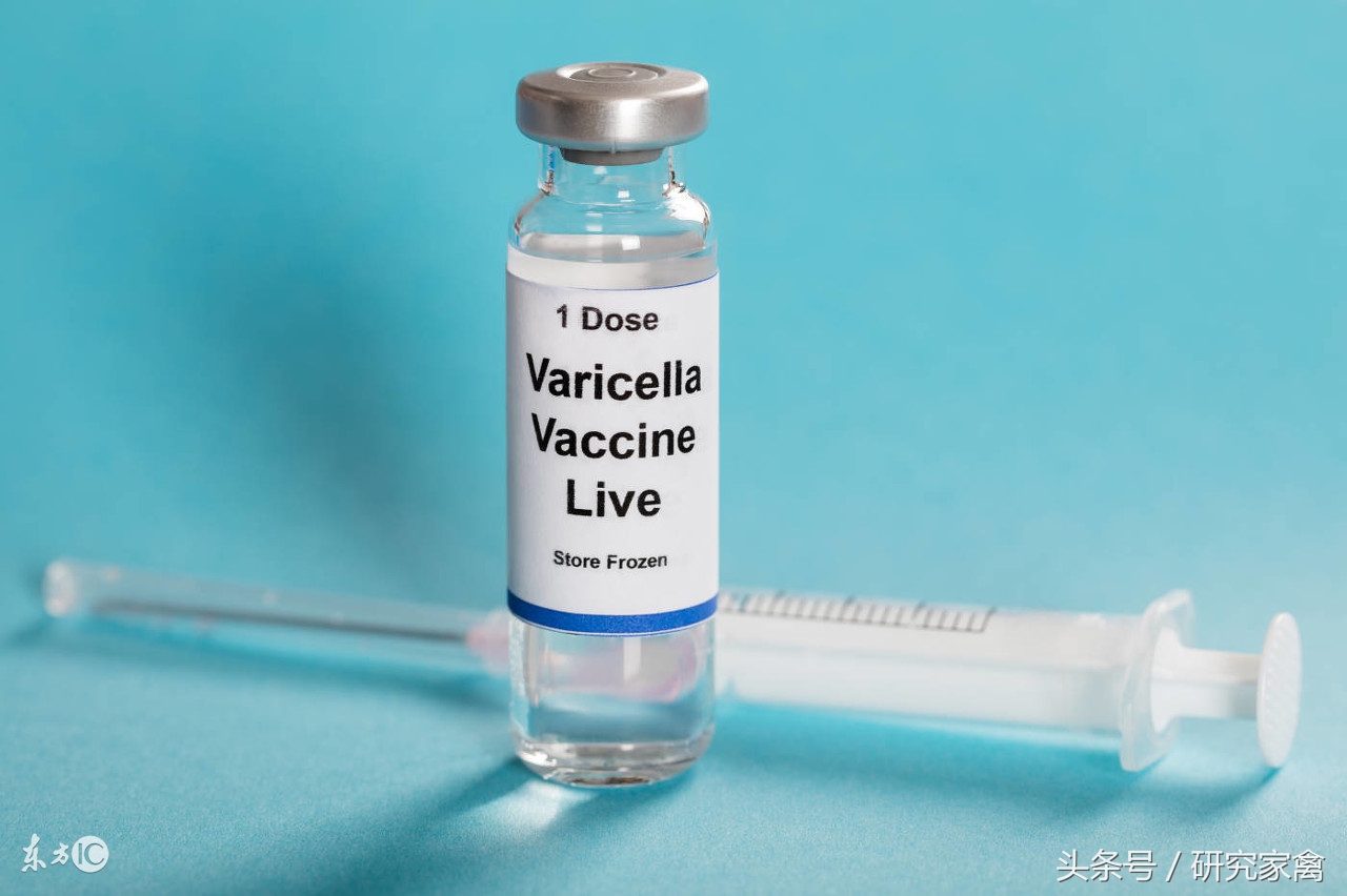 大肉食鸡肺不好怎么回事,大肉食鸡呼吸道