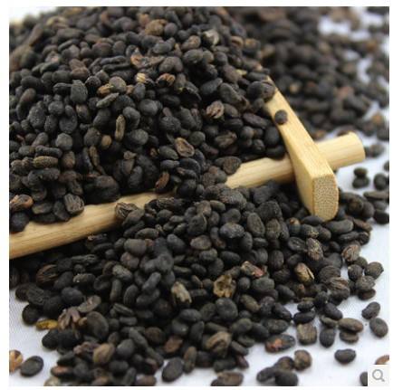 补骨脂的功效与作用及禁忌,补骨脂功效与作用及食用方法