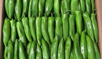 最好的十种辣椒,全球130种辣椒排名