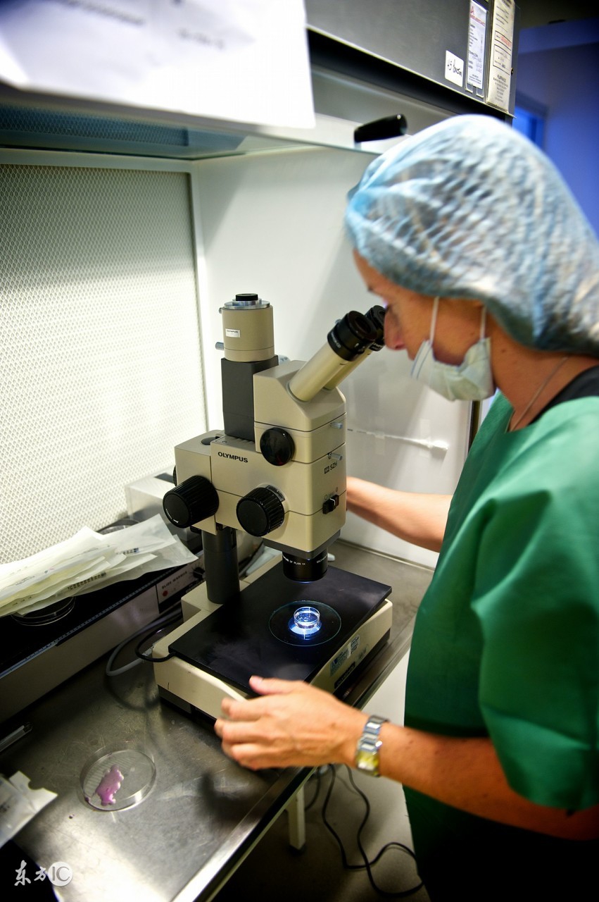 男人请善待为你生儿育女的女人,请珍惜做试管婴儿的妻子