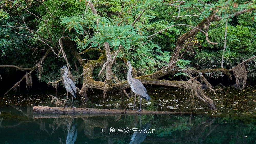 日本东京大阪最值得去的地方,日本大阪深度游攻略