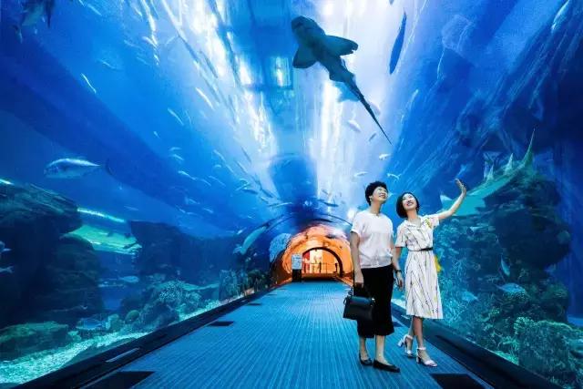 迪拜并不是你们想的遍地黄金，但它真是一个适合度假的好地方！