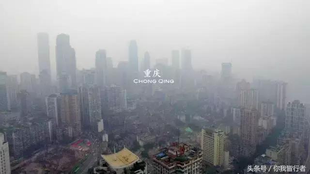 在深达数百米的天坑，大熊猫曾经到此一游