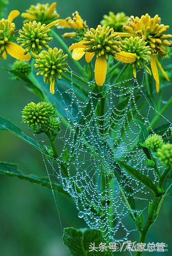 爱一个人陷于才华忠于人品,爱一个人始于颜值敬于爱情