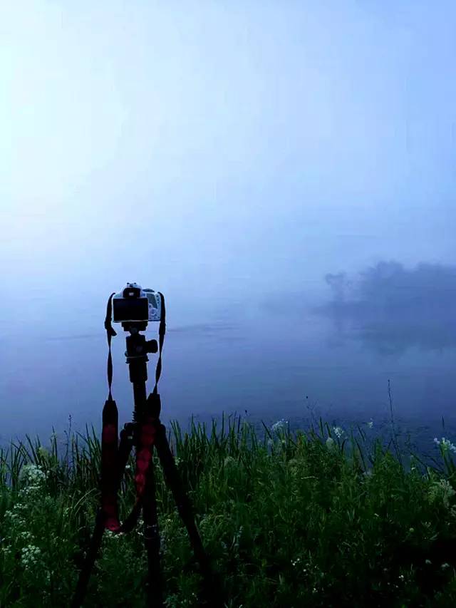 北纬30°神秘之境,在高山草甸、追逐鹿群,这里美的像天堂!