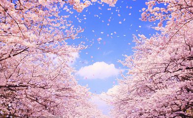 微小说——总有那么一个人，给了你一包*霜砒**，你也把它当蜜糖