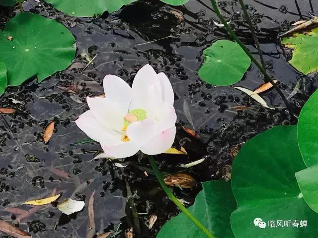 由地震引起灾害称什么灾害,地震时你第一个想到的人