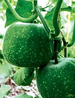 成功祛斑百分之八十！记得收藏！