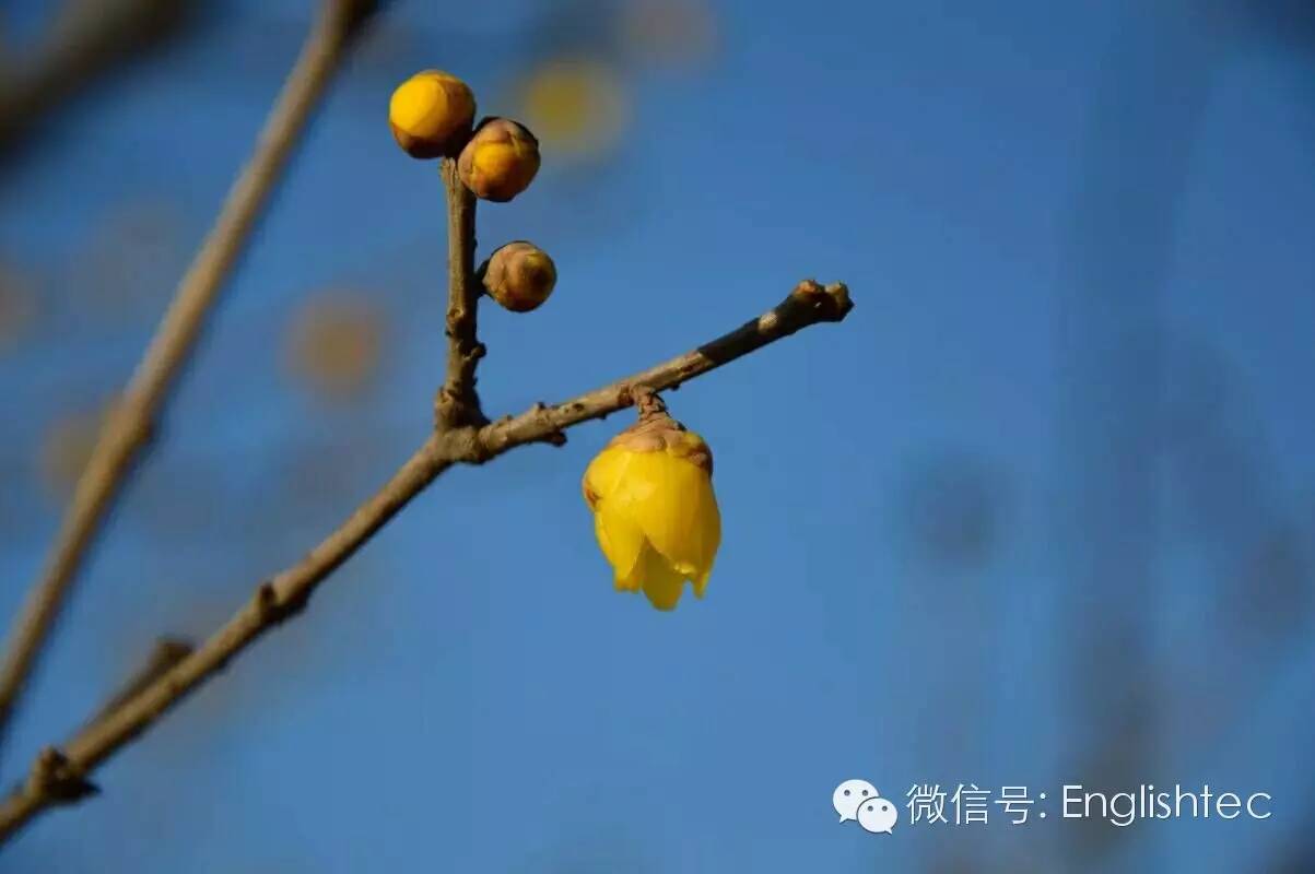 高考英语必备话题词汇,高考英语生活常识视频