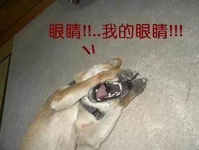 旺仔牛奶搞笑山寨货,中国山寨货真实情况