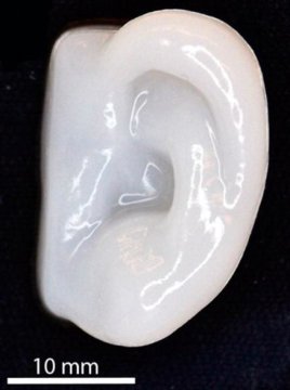 软骨3d打印视频,3d打印关节修复