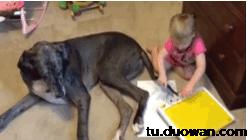 足球夺冠gif动图高清,体育运动gif动图免费