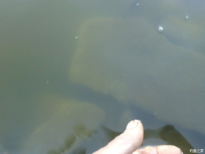 远征远征17,远征17-20