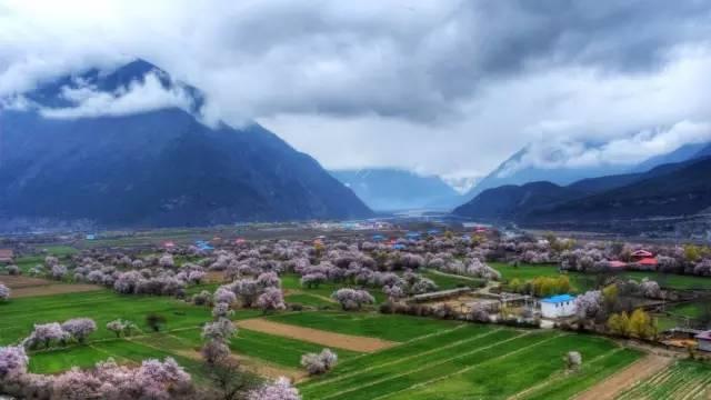 西藏林芝行一路风景如画,林芝最美小镇