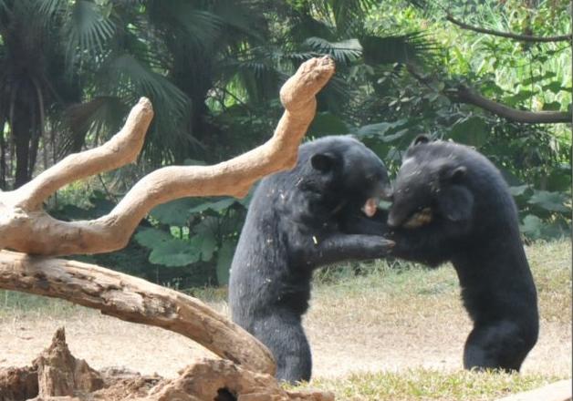 西游记沙和尚演过哪些配角,西游记中的配角都有哪些