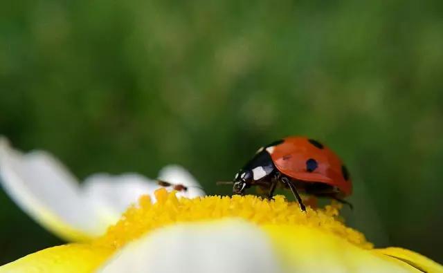 CMPA|2016年3月17日编辑推荐作品