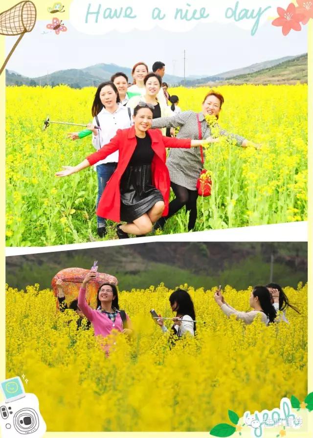 郴州桂阳油菜花,郴州桂阳油菜花开迎客来