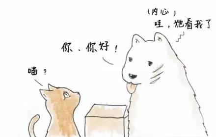 武汉阳逻花店,武汉武昌花店送花