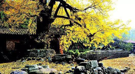 湖北大山真是美,湖北的大山风景太好看了