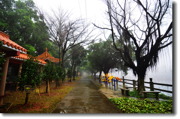 十二道锋味谢霆锋潮汕牛肉,十二道锋味隆苑咖啡谢霆锋