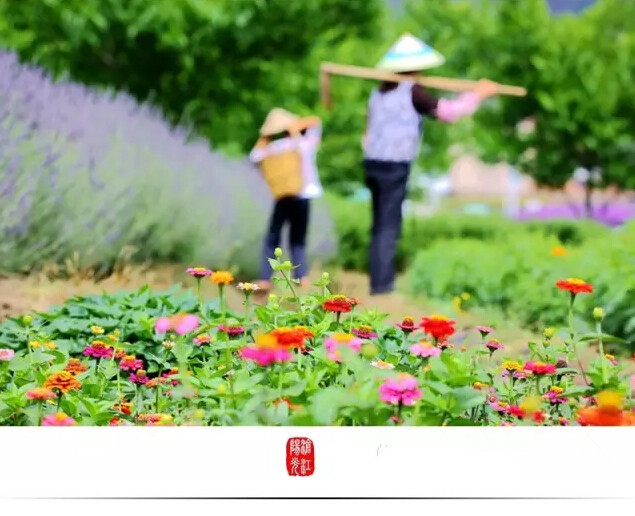 云南临沧美景图片,云南临沧旅行风景