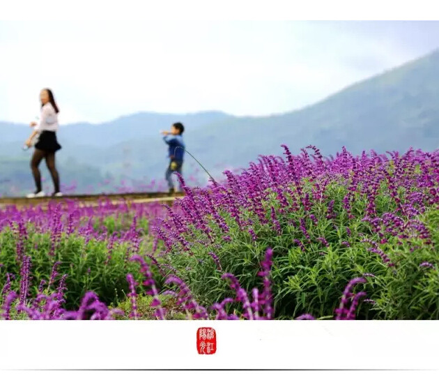 云南临沧美景图片,云南临沧旅行风景