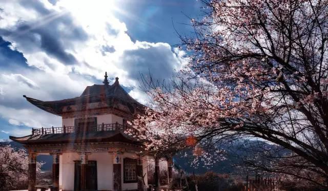 西藏林芝行一路风景如画,林芝最美小镇