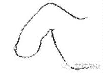 怎么有效教孩子区分左右鞋,对于穿错鞋子的孩子教育措施