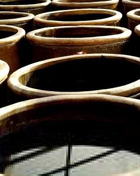 成功祛斑百分之八十！记得收藏！