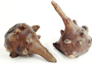 药中英雄数附子,眼科医院有良药