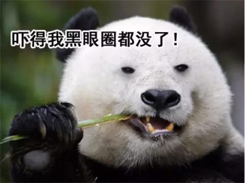 大师兄小师妹怎么样,手把手教你修复u盘