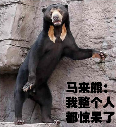 荒野猎人用火疗伤,荒野猎人桑拿