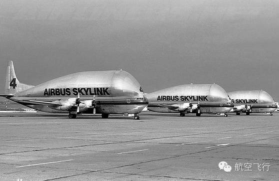 变异变形飞机,变异飞机鹦鹉