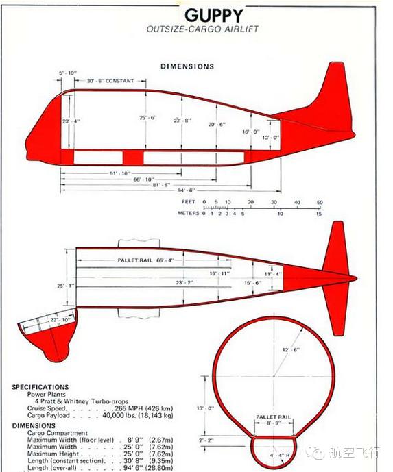 变异变形飞机,变异飞机鹦鹉